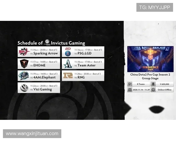 IG战队实力深度分析与DOTA2赛场表现探讨 IG战队实力深度分析与DOTA2赛场表现探讨