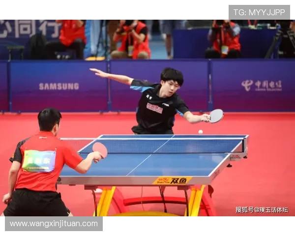 乒乓球精神:北京乒乓球队奋斗历程的真实记录与感悟 乒乓球精神:北京乒乓球队奋斗历程的真实记录与感悟