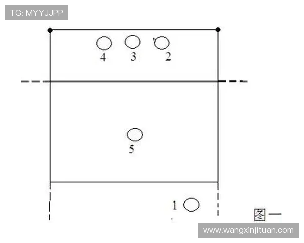 南京排球队的控制策略与战术分析探讨排球热点