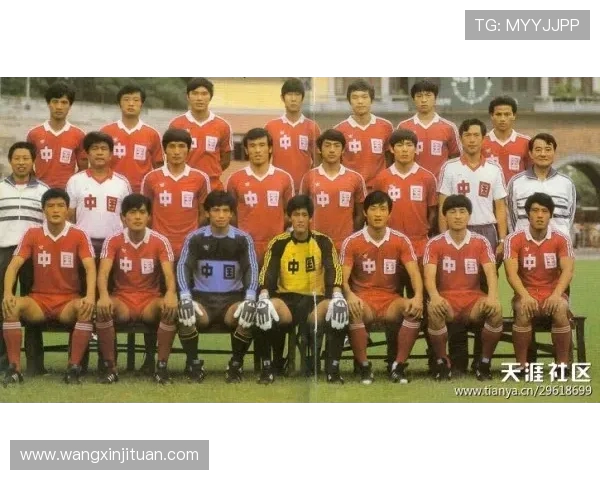 广州羽毛球队总决赛表现分析与状态评估探讨