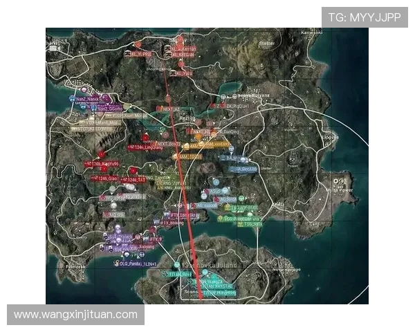 聚焦和平精英RNG团队协作如何提升战斗力与胜率分析