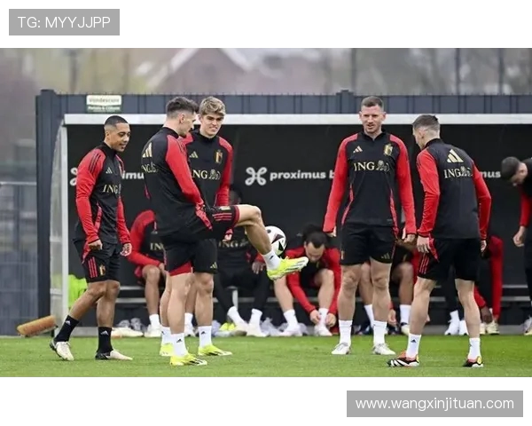 比利时与爱尔兰足球对决分析及竞猜策略分享