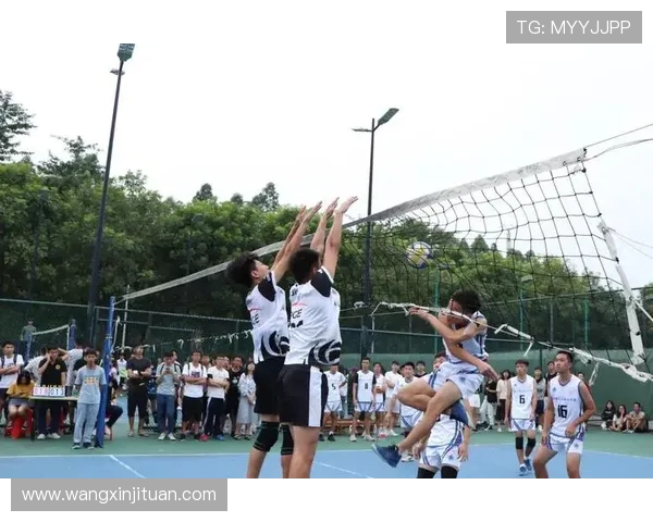 成都排球队在精英赛中的心理素质分析与表现评估