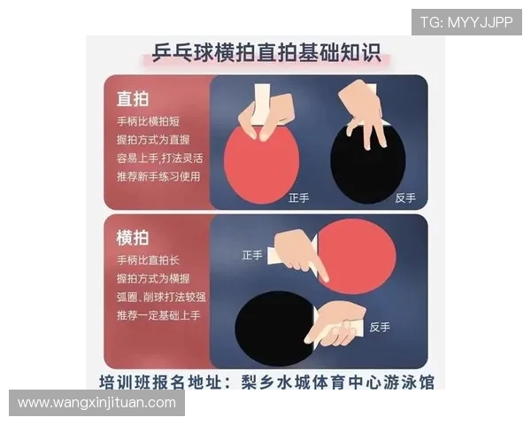 刘娜独家分享乒乓球技巧与心得助你提升球技的秘诀与经验