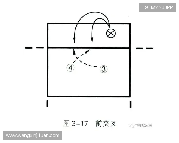 南京排球队进攻战术深度分析与实战应用探讨
